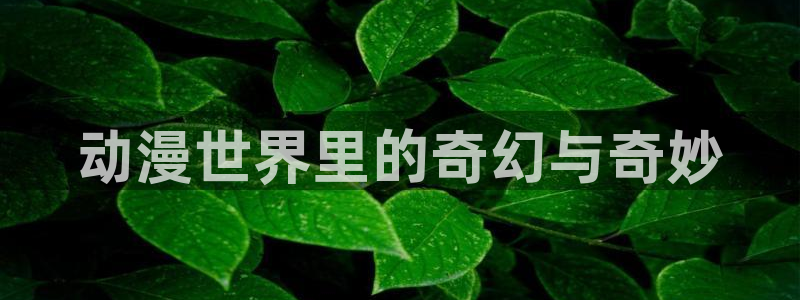 omofun漫画官网入口