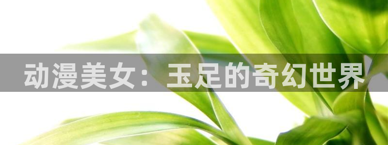 omofun动漫官网在线观看：动漫美女：玉足的奇幻世界